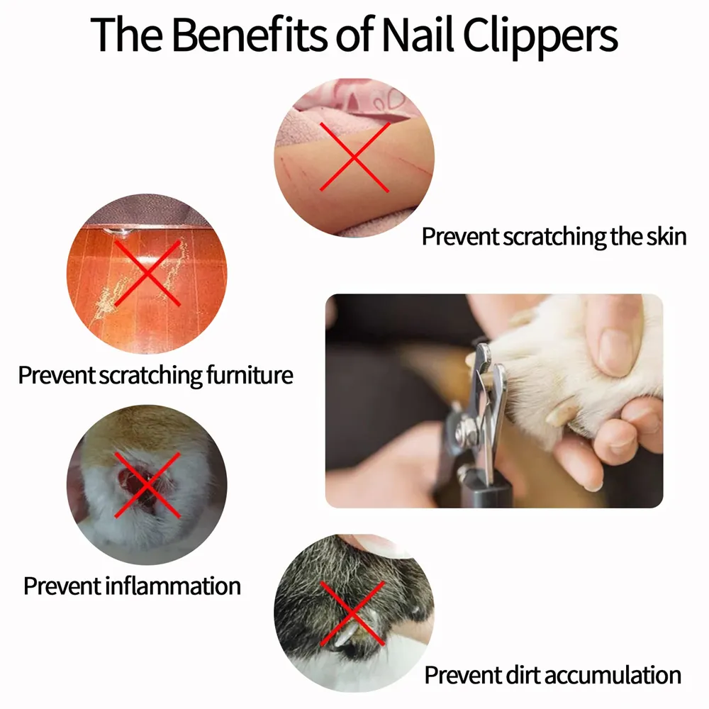 Cortaúñas para perros con protector de seguridad, cortaúñas para mascotas, cuchillas afiladas, adecuado para perros medianos y grandes Cortaúñas para perros con protector de seguridad, cortaúñas para mascotas, cuchillas afiladas, adecuado para perros medianos y grandes